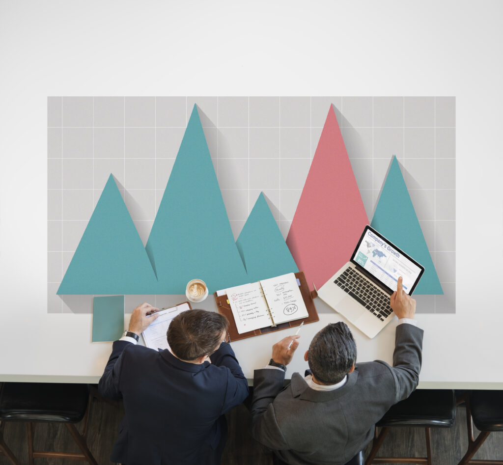 O que separa empresas que crescem das que amadurecem?